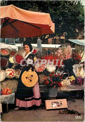 Cartes postales moderne Nice (A M) son Marche aux Fleurs Reflets de la Cote d'Azur