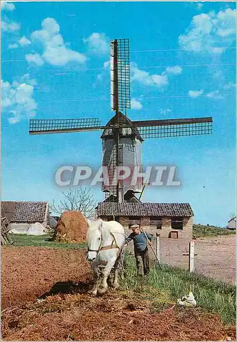 Cartes postales moderne Holland Molenland Land of Wind Milla Muhlenland Attelage Cheval Moulin