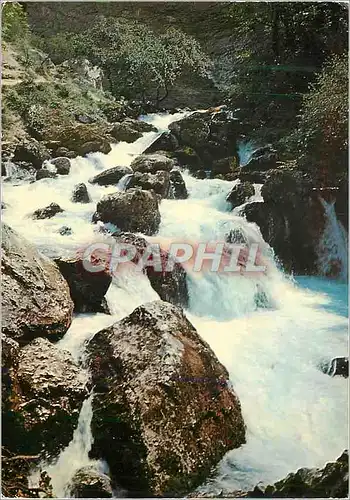 Cartes postales Fontaine de Vaucluse et ses Cascades en Hautes Eaux les Belles Images de Provence