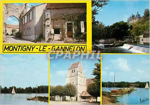 Cartes postales Montigny le Gannelon Environs de Cloyes sur le Loir (Eure et Loir) la Vallee du Loir