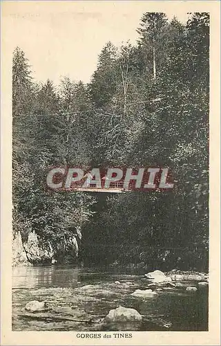 Cartes postales Gorges des Tines