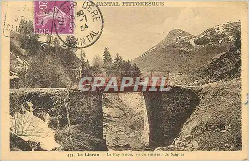 Cartes postales Le Lioran le Puy Griou vu du Ruisseau de Saignes le Cantal Pittoresque