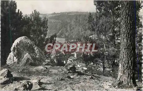 Moderne Karte Saint Leonard Des Bois (Sarthe) Vue du Bourg a travers les Pins
