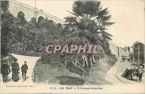 Cartes postales Pau L'Avenue Leon Say Attelage