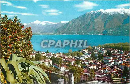 Cartes postales moderne Locarno Panorama