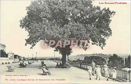 Cartes postales Pau Le Grand Chene du Boulevard des Pyrenees Les Basses Pyrenees Enfants