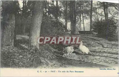 Cartes postales Pau Un coin du Parc Beaumont