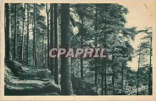 Cartes postales La Normandie Bagnoles de l'Orne Sous Zol dans le Parc de l'Etablissment Thernal