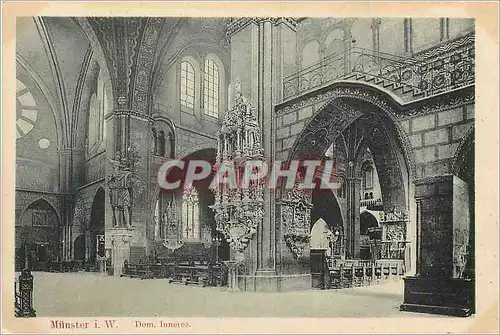 Cartes postales Munster i W Dom Inneres Orgue