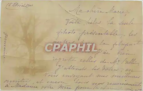 CARTE PHOTO Saint Louis Arbre