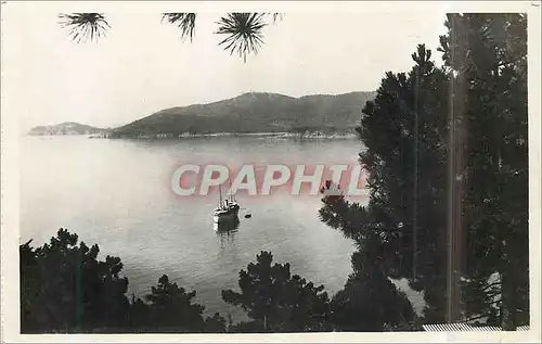 Moderne Karte Le Lavandou Vue sur la Pointe du Cap Benat