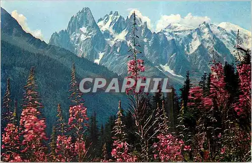 Cartes postales moderne Au Pays du Mont Blanc Savoie Aiguilles de Chamonix et le Massif du Mont Blanc)