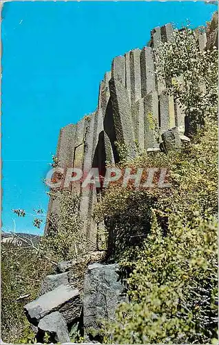 Cartes postales moderne Devil's Postpile National Monument Inyo National Forest Sun and shadow dramatize columns of the