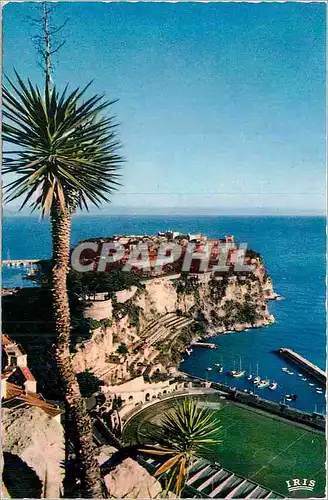 Cartes postales moderne Monaco Le Rocher vue prise du Jardin exotique Reflets de la Cote d'Azur Football