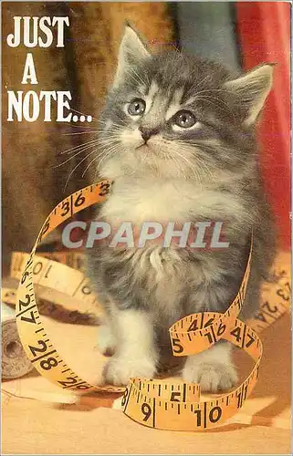 Cartes postales moderne Just a Note The North Shore Animal League saves abandoned dogs and cats and finds then new homes