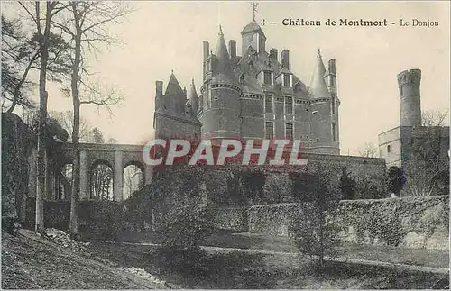 Cartes postales Chateau de Montmort Le Donjon