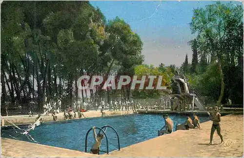 Cartes postales moderne Sidi Bel Abbes La Piscine