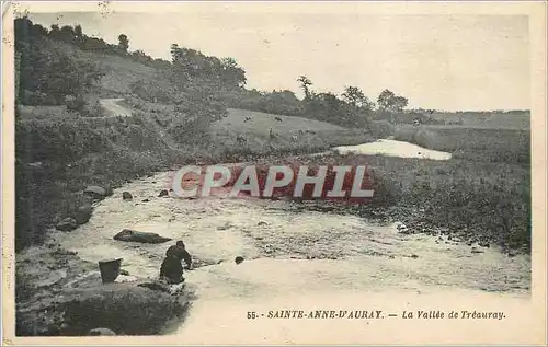 Cartes postales Sainte Anne d'Auray La Vallee de Treauray Lavandiere