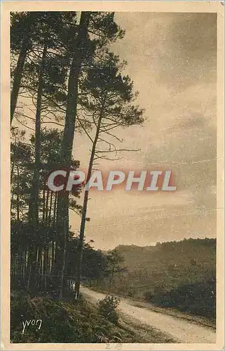 Ansichtskarte AK Les Landes de Gascogne Lever de Soleil en Forel La Douce Frane