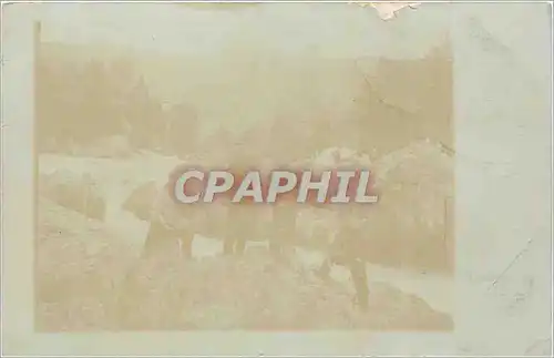 CARTE PHOTO Militaria