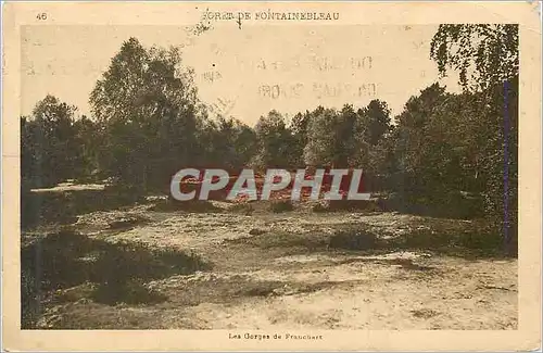 Ansichtskarte AK Foret de Fontainebleau Les Gorges de Franchart