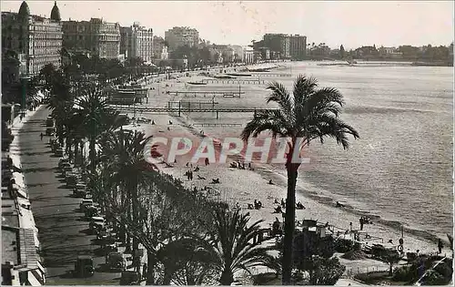 Cartes postales moderne Cannes La Croisette