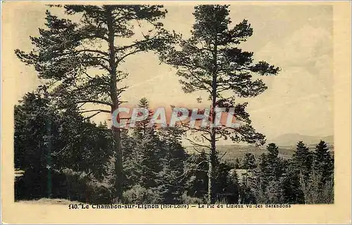 Cartes postales Le Chambon sur Lignon (Hte Loire) Le Pic de Lizieux vu des Barandons