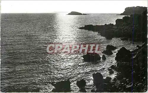 Cartes postales moderne La Cote d'Azur Sainte Maxime sur Mer (Var) Coucher de soleil