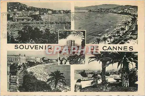 Cartes postales moderne Souvenir de Cannes