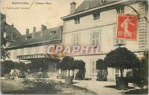 Cartes postales Montluel Chateau Heer