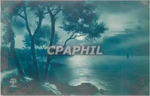 Cartes postales Arbres Fantaisie