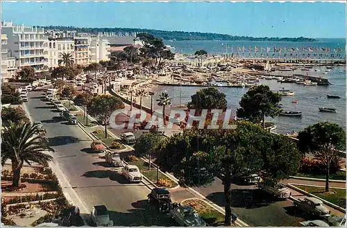 Cartes postales moderne Cannes (A M) La Cote d'Azur Le Boulevard de la Croisette Bijou Plage et Palm Beach Au fond L'Ile