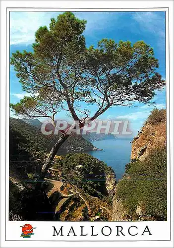 Cartes postales moderne Mallorca Espana