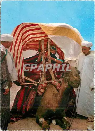 Cartes postales moderne Mariage Maroc