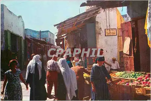 Moderne Karte Acco Market in the Old City