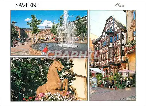 Cartes postales moderne Saverne (Bas Rhin) Alsace Cheval