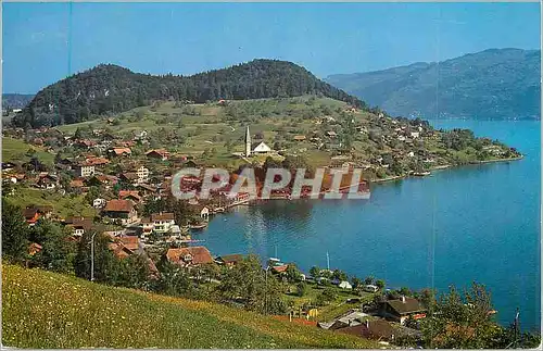 Cartes postales moderne Faulensee am Thunersee