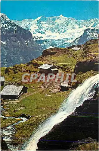 Cartes postales moderne Grindelwald Fist Bachlager mit Flescherhorner
