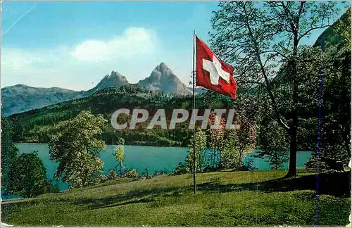 Cartes postales moderne Rutliwiese und die Mythen