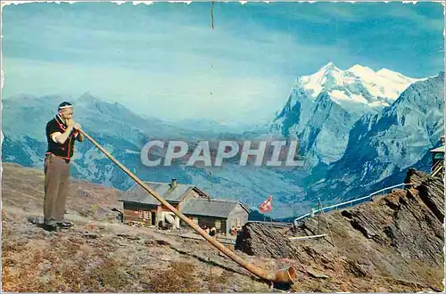 Cartes postales moderne Alpes Suisse Joueur de Cor des Alpes et la Vallee de Grindelwald Folklore