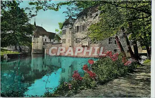 Cartes postales moderne Schloss Hallwil