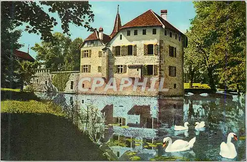 Cartes postales moderne Schloss Hellwil am Hallwilersee Cygnes