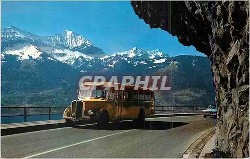 Cartes postales moderne Bei Sundlauenen am Thunersee mit Morgenberghorn und Dreispitz Autobus