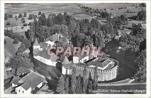 Cartes postales moderne Flugaufnahme Schloss Hallwil (Aarg)