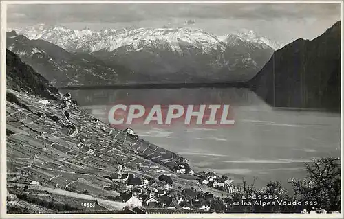 Cartes postales moderne Epesses et les Alpes Vaudoises