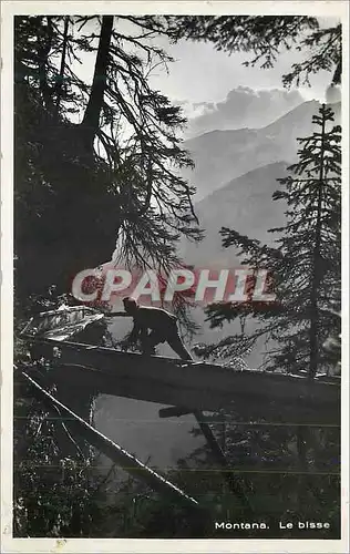 Cartes postales moderne Montana Le Bisse