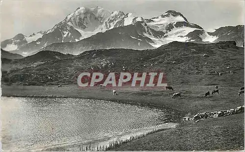 Cartes postales moderne Simplon Kulm Hobschensee