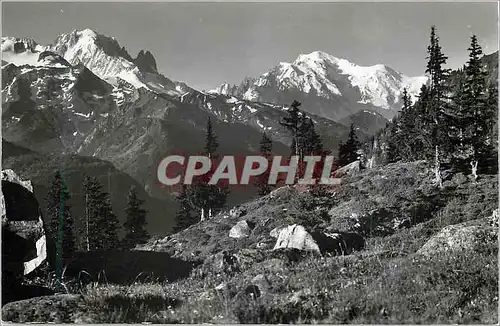 Cartes postales moderne Alpe de la Creusa S les Marecottes et s Salvan Alg Verte et Dru Mont Blanc
