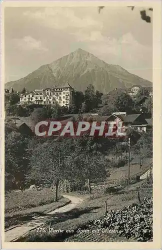 Cartes postales moderne Partie aus Spiez mit Niesen