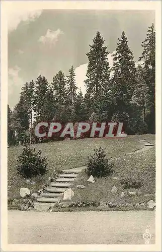 Cartes postales moderne Waldhotel am Notschrei 1121 m Hohenluftkurort und Wintersportplatz Bes M Azal